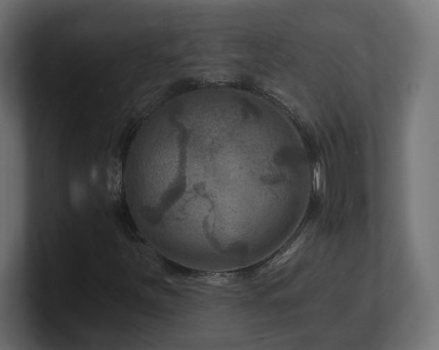 X0000101091251200806261444