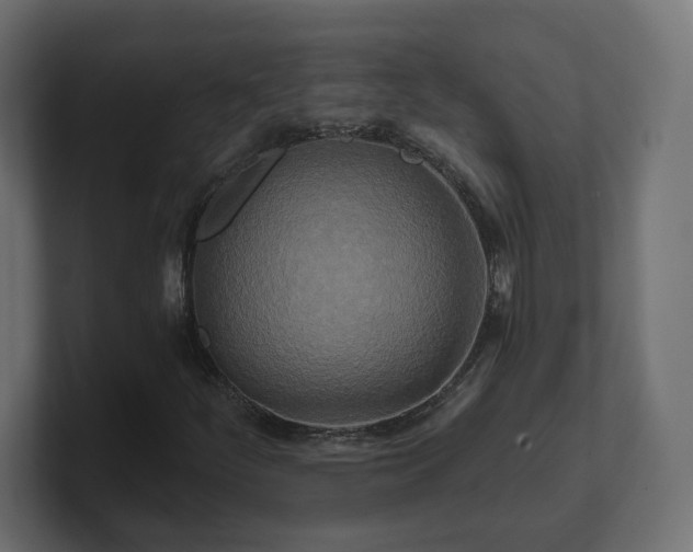 X0000101091252200806261444