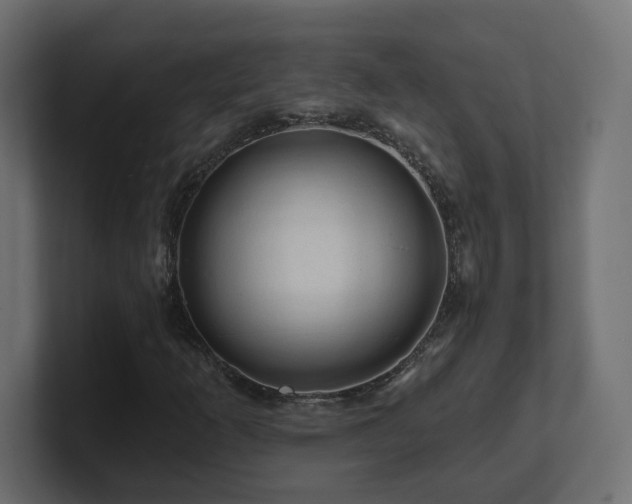 X0000101091253200806261444