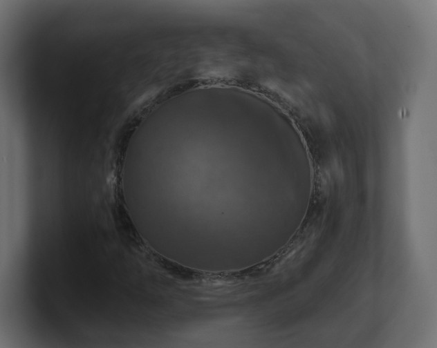 X0000101091254200806261444