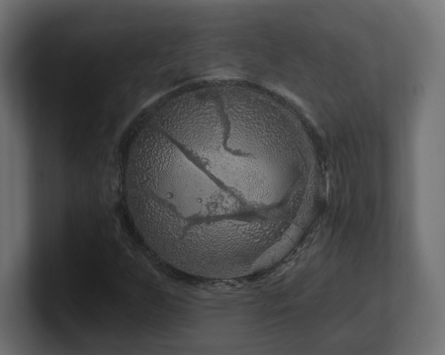 X0000101091255200806261444