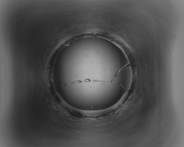 X0000101091256200806261444