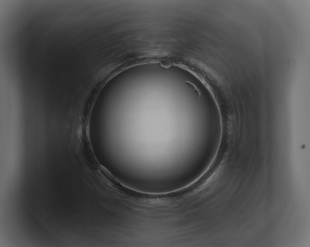 X0000101091257200806261444