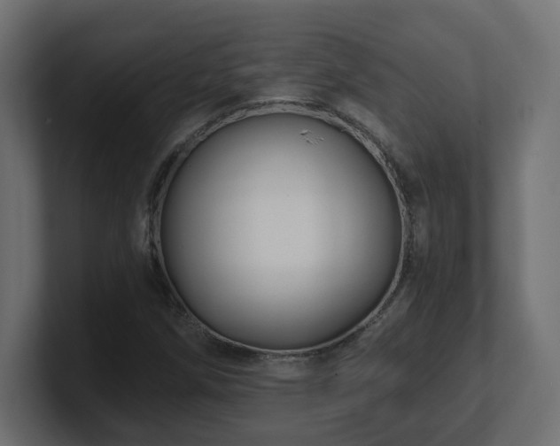 X0000101091258200806261444