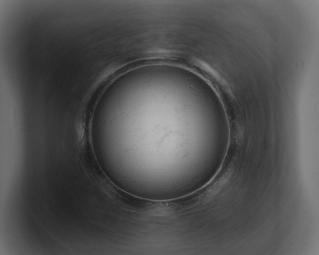 X0000101091259200806261444