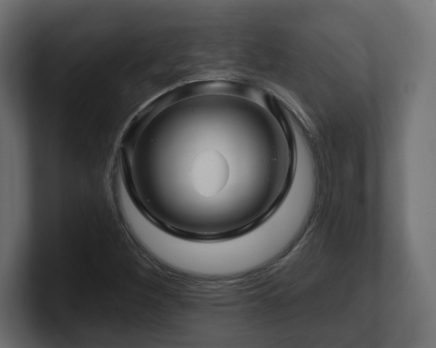 X0000101091260200806261444