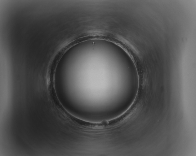 X0000101091261200806261444