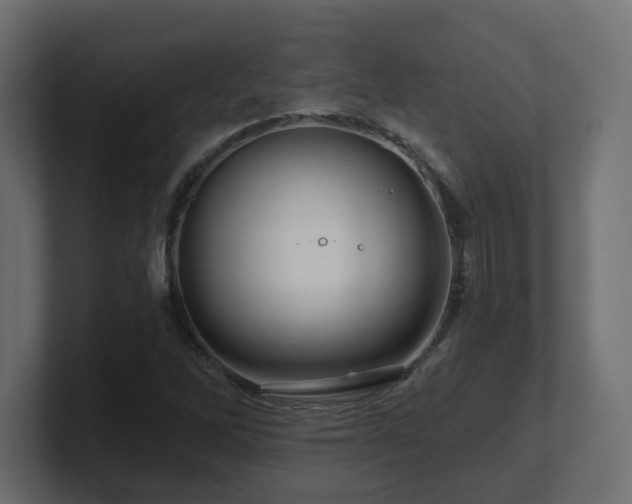 X0000101091262200806261444