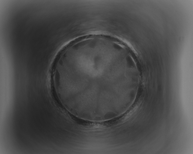 X0000101091263200806261443