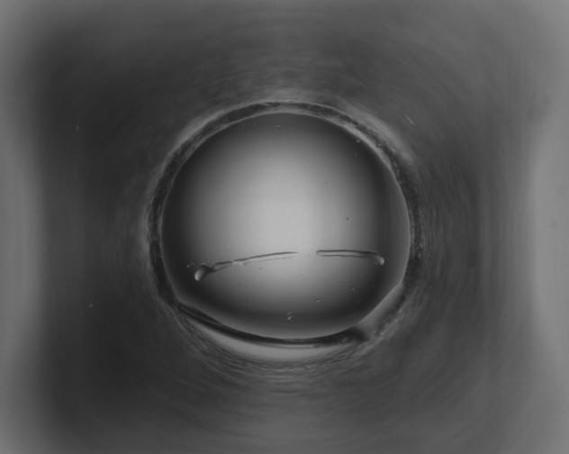 X0000101091264200806261443