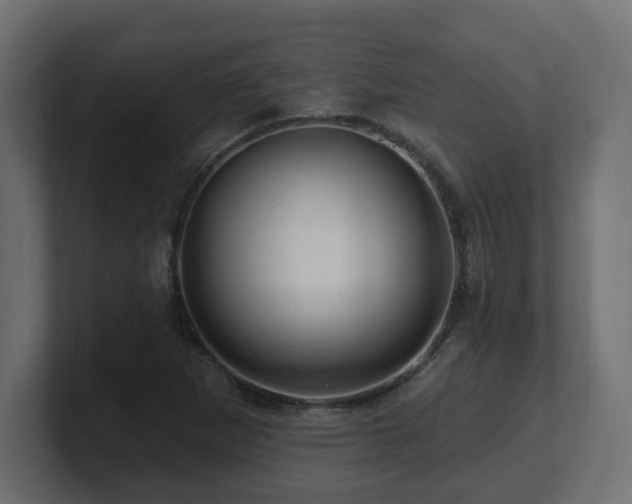 X0000101091265200806261443