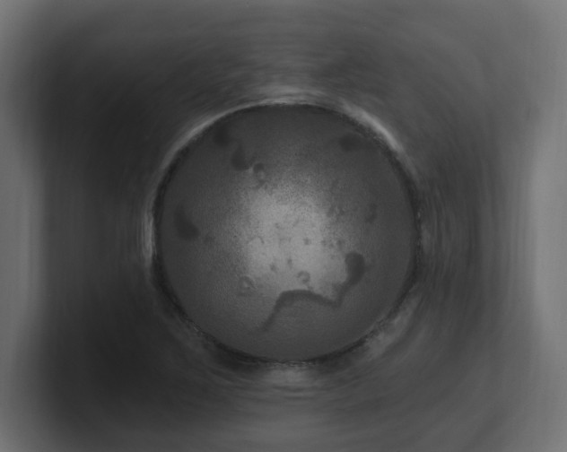 X0000101091267200806261443