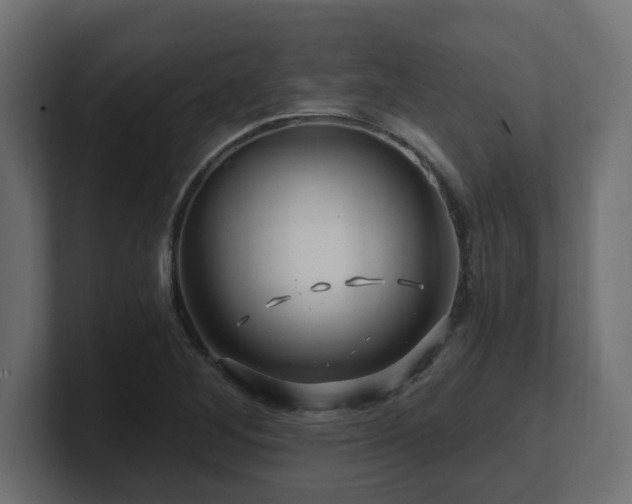 X0000101091268200806261443