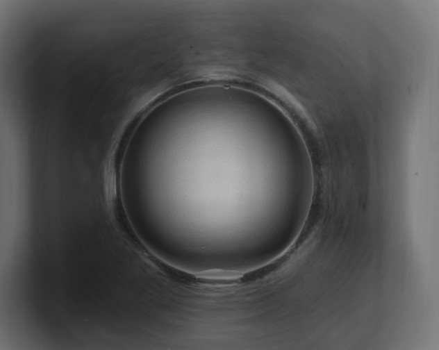 X0000101091269200806261443