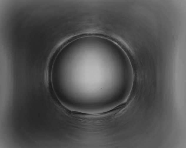 X0000101091270200806261443