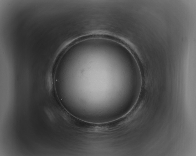 X0000101091271200806261443