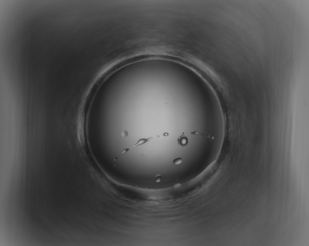 X0000101091272200806261443