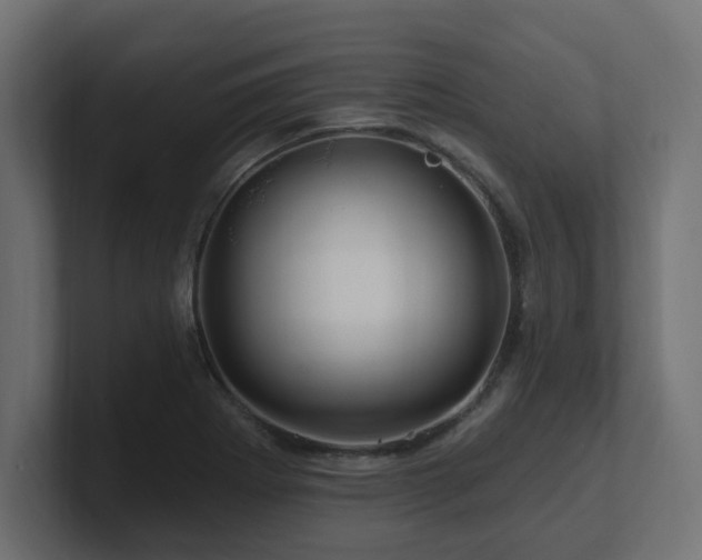 X0000101091273200806261443