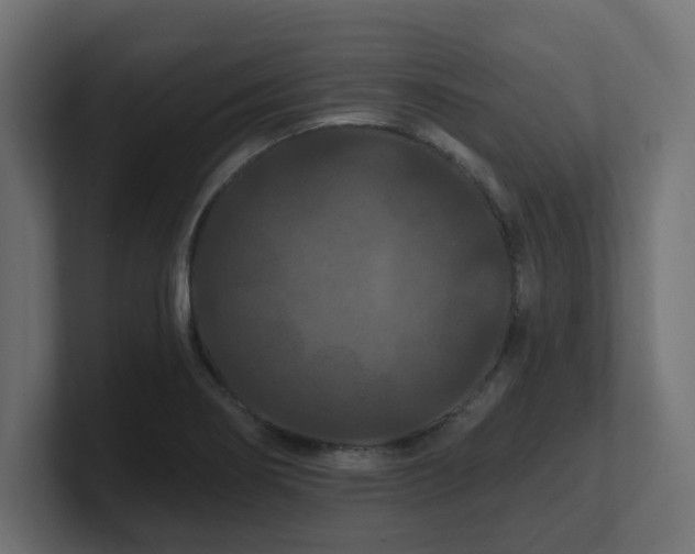 X0000101091274200806261443