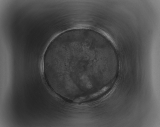 X0000101091275200806261443