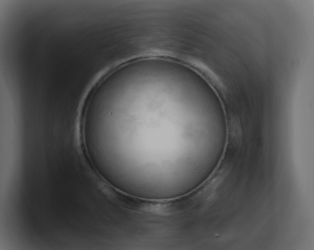 X0000101091278200806261443