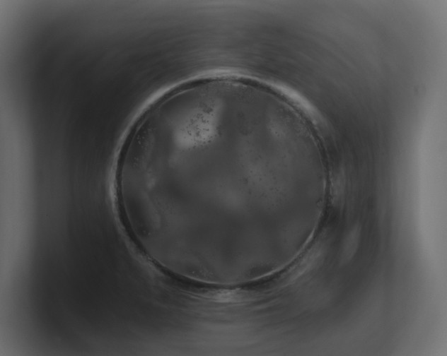 X0000101091279200806261443