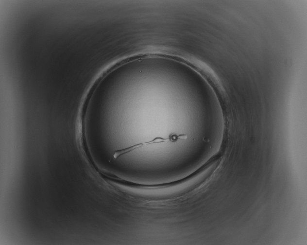 X0000101091280200806261443