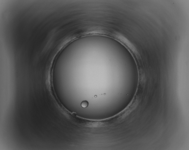 X0000101091282200806261443