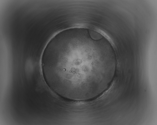 X0000101091283200806261443