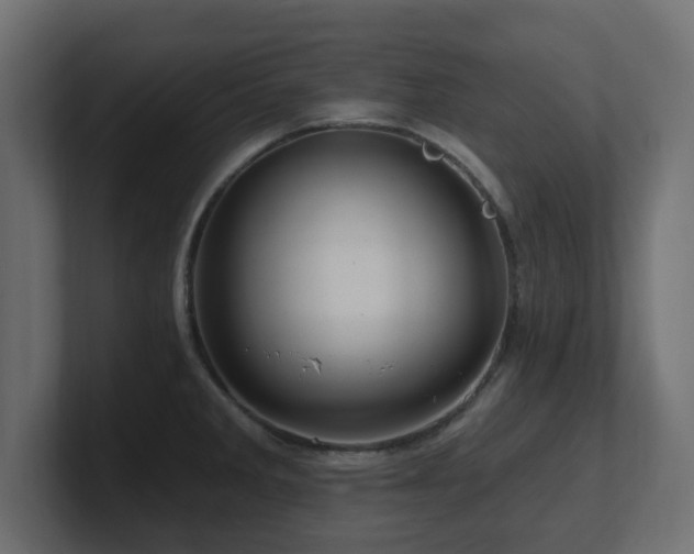 X0000101091285200806261443