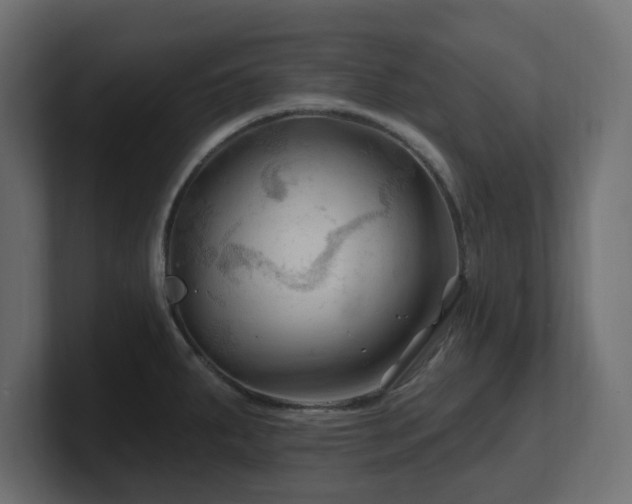 X0000101091287200806261443