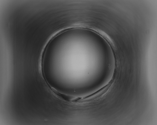 X0000101091288200806261443