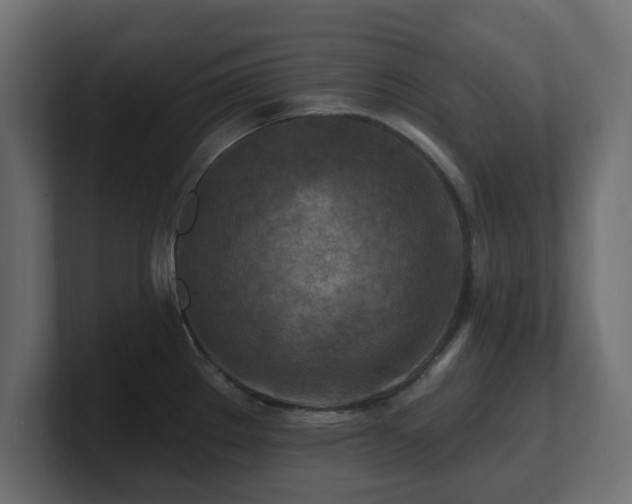 X0000101091289200806261443