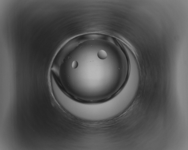 X0000101091291200806261443