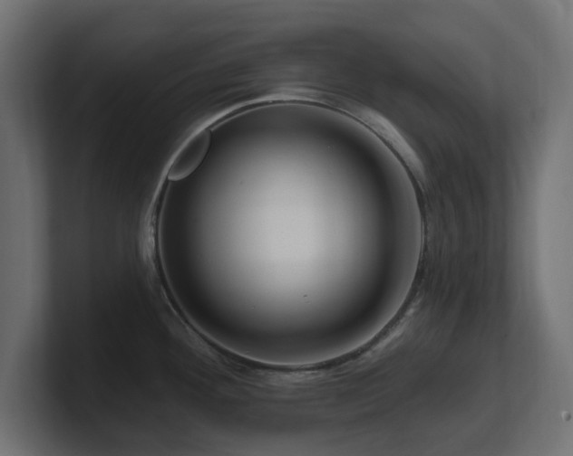 X0000101091292200806261443