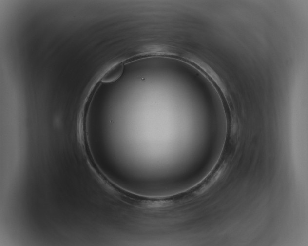 X0000101091293200806261443