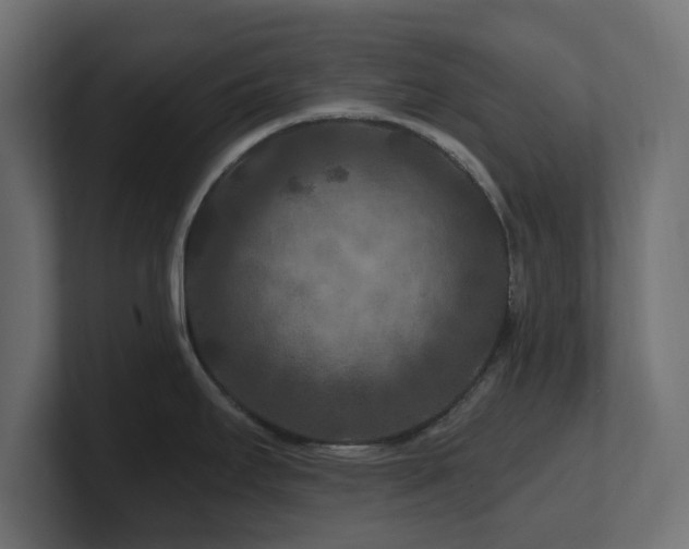 X0000101091295200806261443