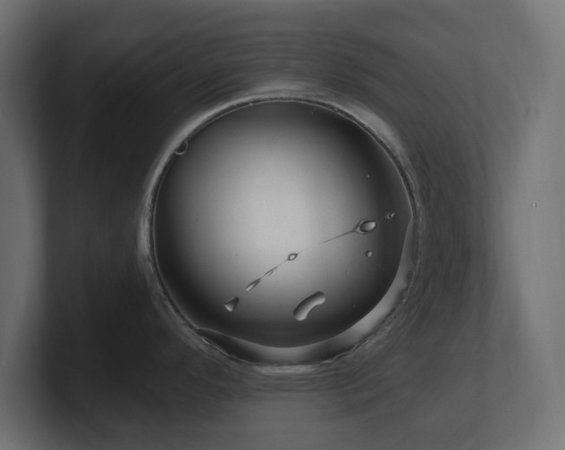 X0000101091296200806261443