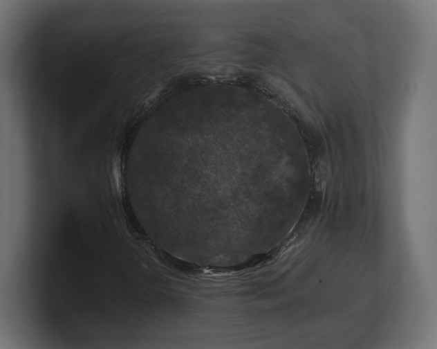 X0000101091298200806261442