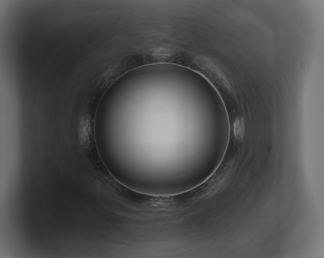 X0000101091299200806261442