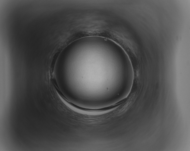 X0000101091300200806261442