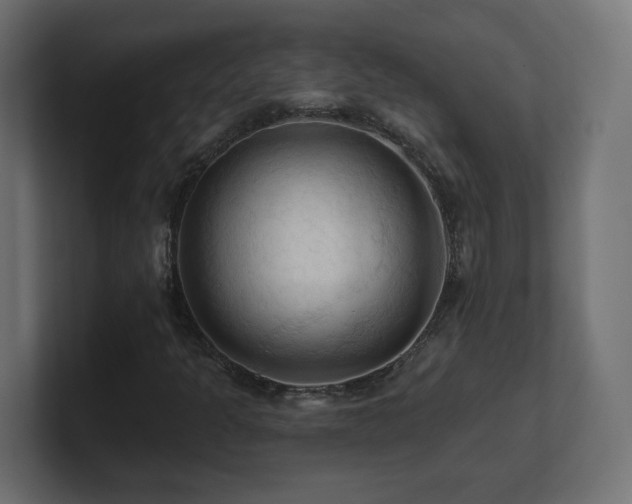 X0000101091301200806261442