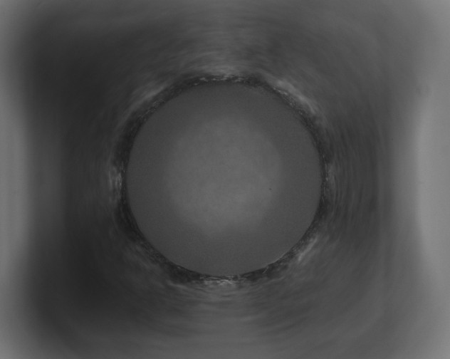 X0000101091302200806261442