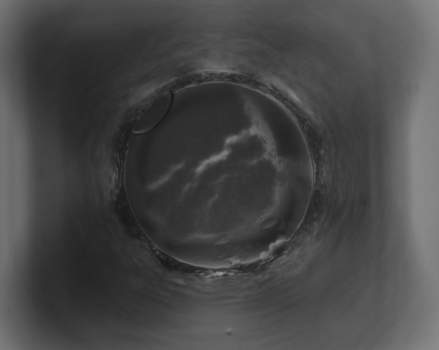 X0000101091303200806261442