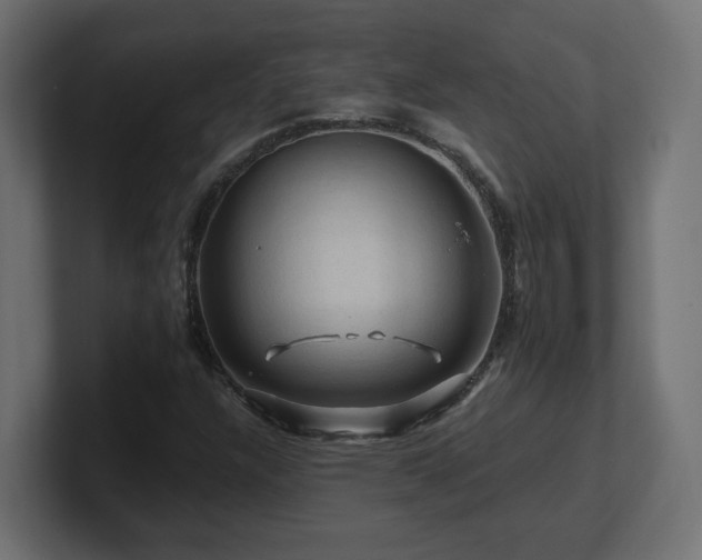 X0000101091304200806261442