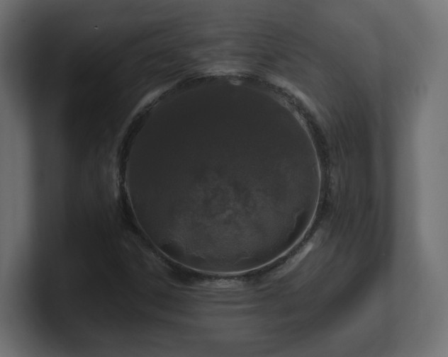 X0000101091306200806261442