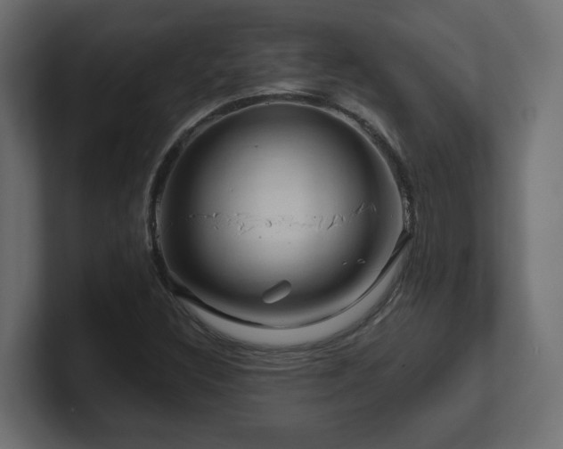 X0000101091308200806261442