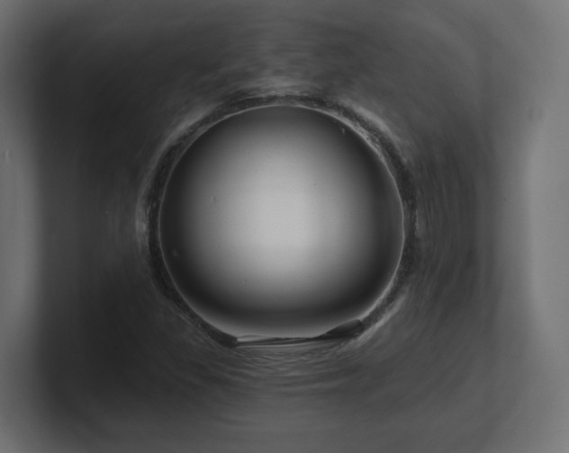 X0000101091309200806261443