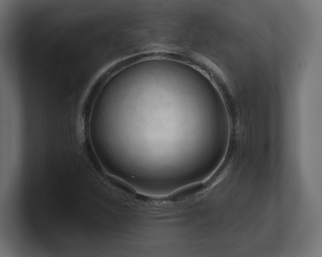 X0000101091310200806261443