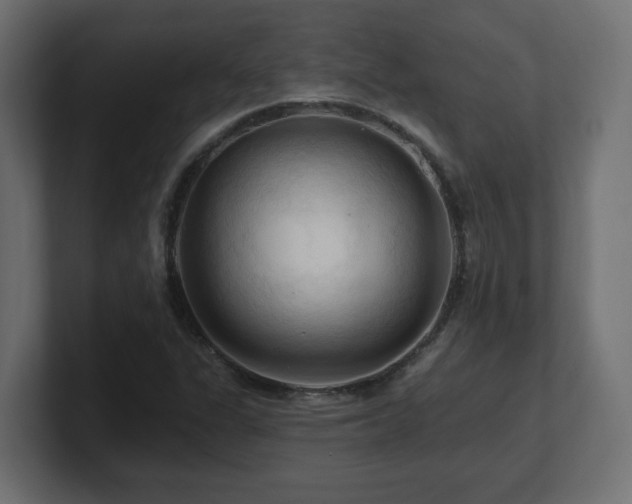 X0000101091311200806261443